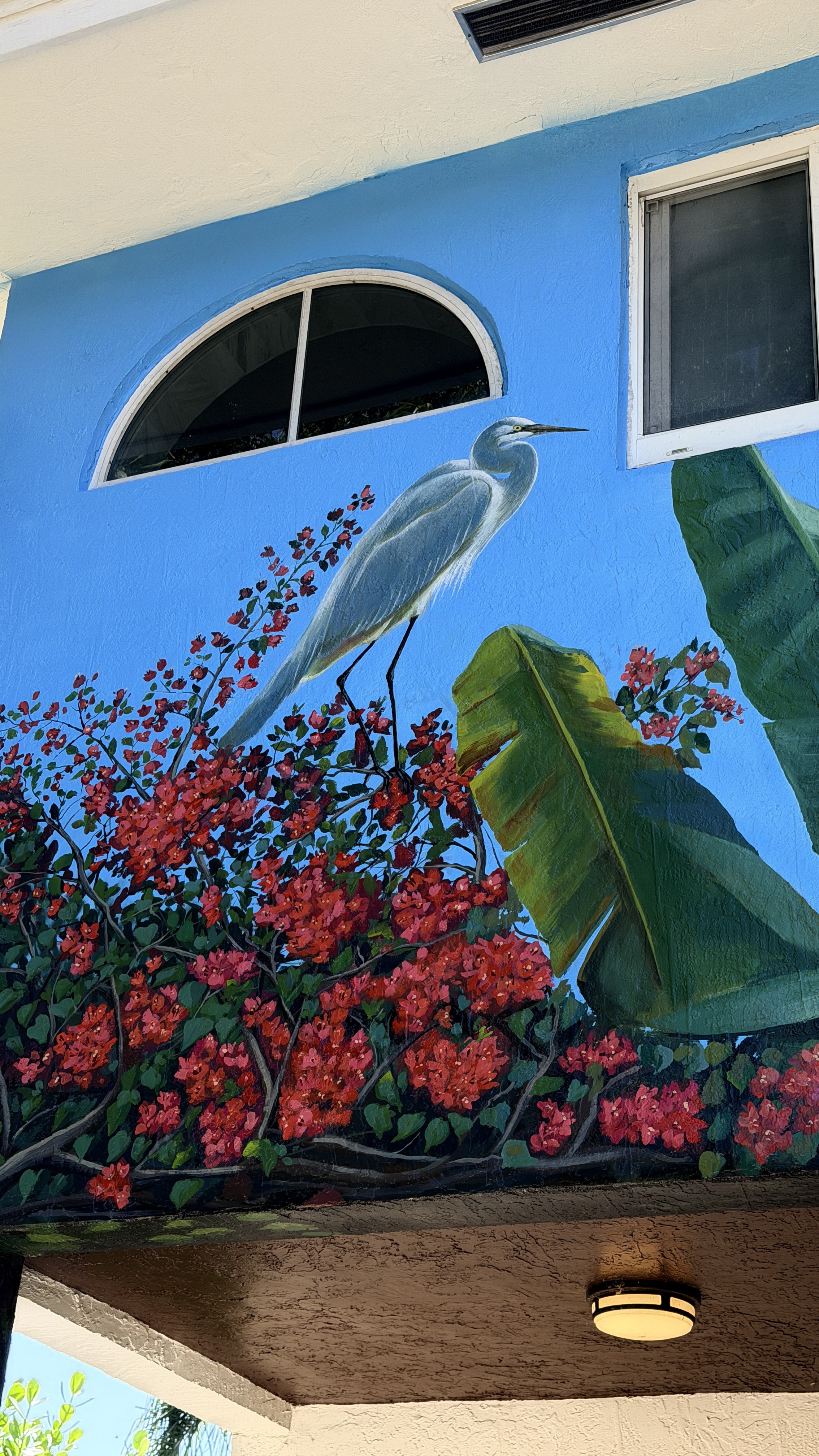 Tropical Heron Detail