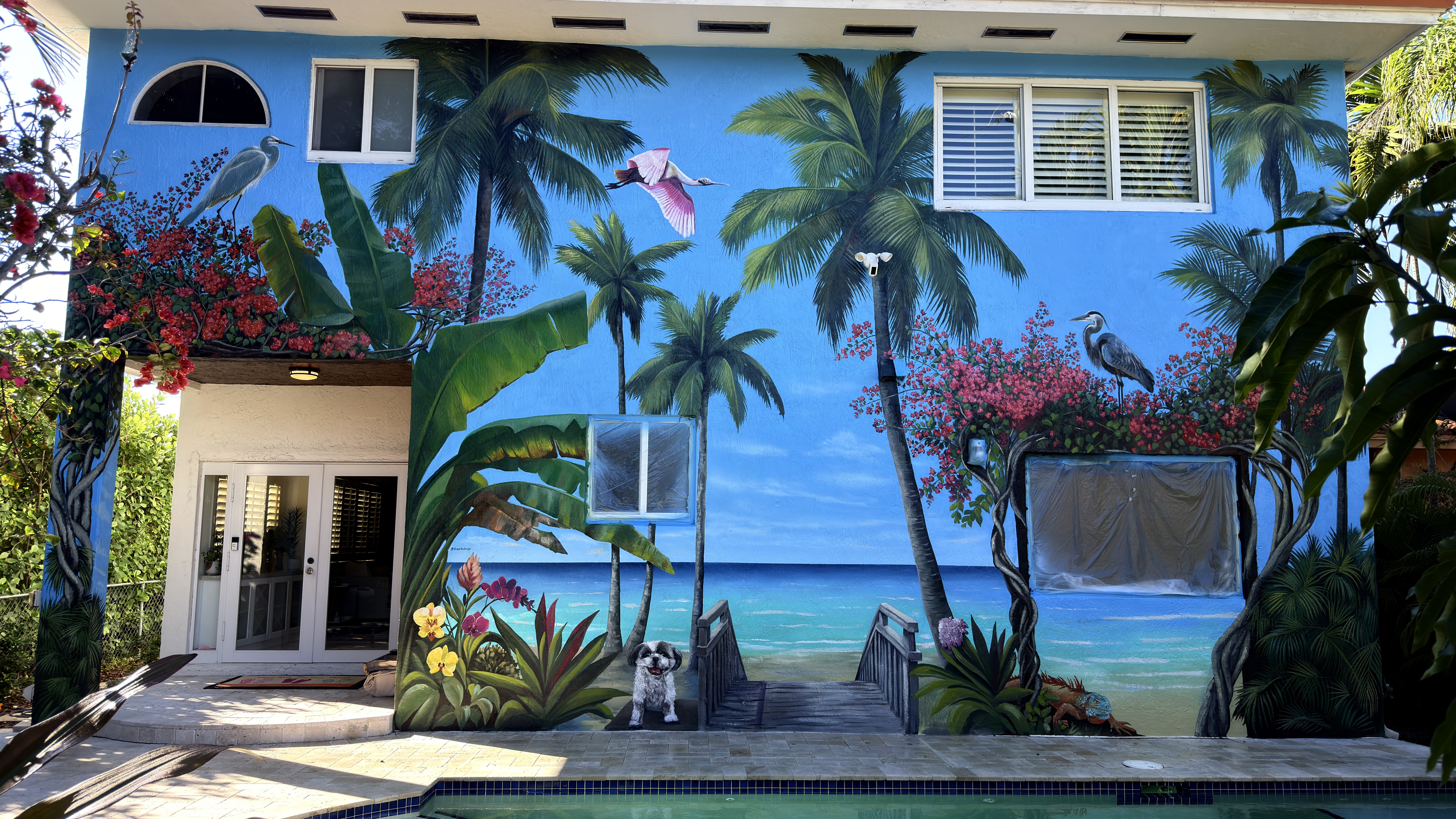 Tropical Paradise